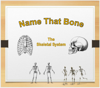 Preview of Skeletal System: Name That Bone