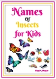 Names of Insects for Kids