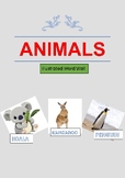 Names of different animals
