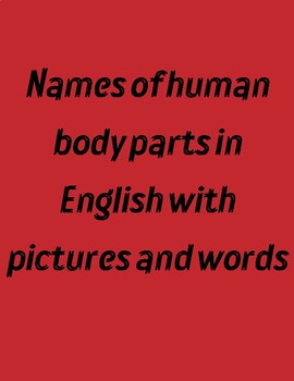 Preview of Names of human body parts in English with pictures and words