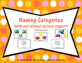 Naming Categories