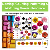 Naming, Counting, Patterning, and Matching Flowers Resource
