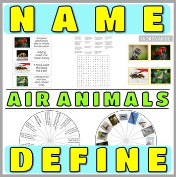 Preview of Naming Defining Themed Vocabulary Word Puzzles Games Flash Cards