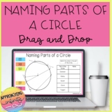 Naming Parts Of A Circle Digital Activity and Worksheet