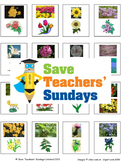 Naming common flowers and trees Lesson plan and Cards