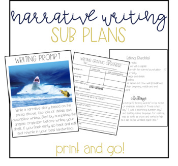 Preview of Narrative Writing Lesson Sub Plans