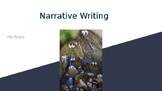 Narrative Writing- Pet Rock Directions in English and Spanish