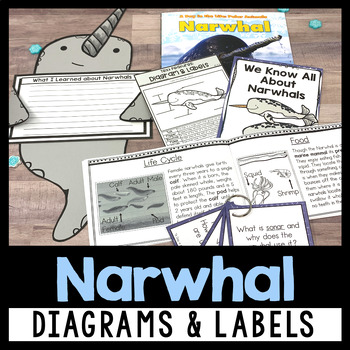 Preview of Narwhal Reading Comprehension | Non Fiction Text Features Diagram and Labels