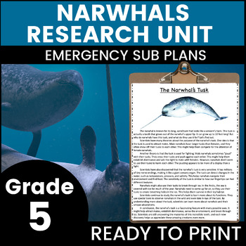 Preview of Narwhals 5th Grade Emergency Sub Plans Math English Science Substitute Binder