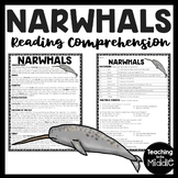 Narwhals Reading Comprehension Worksheet Unicorn of the Se