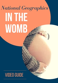 Preview of *Movie Guide* National Geographic's "In the Womb"