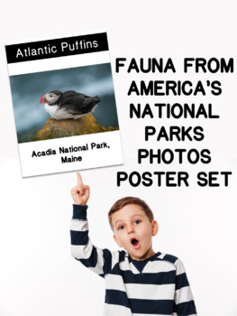 Preview of National Parks Fauna High Resolution Photo Posters