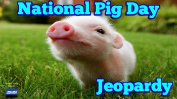 Preview of National Pig Day Jeopardy Game (Google Slides)
