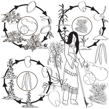 three sisters native american coloring pages