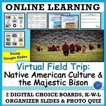 Preview of Native American Bison Activity | Virtual Field Trip | Heritage and Culture