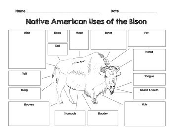 Preview of Native American Uses of the Bison