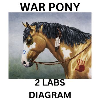 Preview of Native American War Pony 2 Labs & Directed Reading History,Science