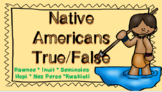 Native Americans True False Google Activity