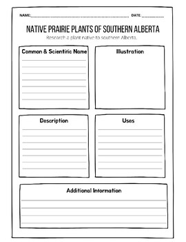 Preview of Native Prairie Plants of Southern Alberta