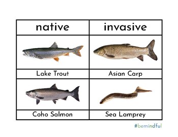 Preview of Native and Invasive Species of Lake Michigan