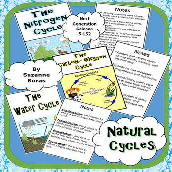 Preview of Natural Cycles