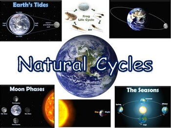 Preview of Natural Cycles Lesson & Flashcards - task cards, study guide, 2023-2024