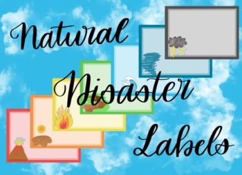 Preview of Natural Disaster Labels