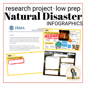 Preview of Natural Disaster Research Infographic