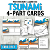 Natural Disaster Tsunami Vocabulary 3-Part Cards for a wea
