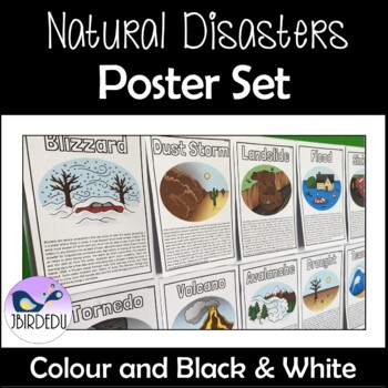 Preview of Natural Disasters Bulletin Board Poster Set