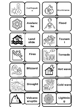 Preview of Natural Disasters Domino