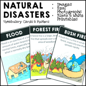 Preview of Natural Disasters Vocabulary Cards and Posters