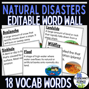 Preview of Natural Disasters Word Wall Vocabulary