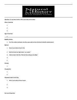 Preview of Natural History Museum Scavenger Worksheet