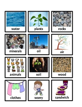 Preview of Natural Resource Picture Word Card Sort