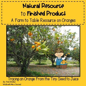 Preview of Natural Resource to Finished Product | Farm to Table Oranges