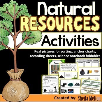 Preview of Natural Resources Activities, Printables, Picture Sorts, Earth Day