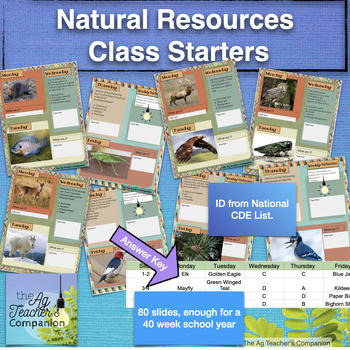 Preview of Natural Resources Class Starters - 40 Weeks of Bell-Ringers