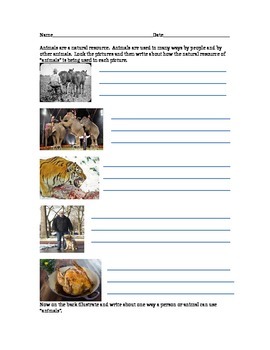 Preview of Natural Resources - Using Animals