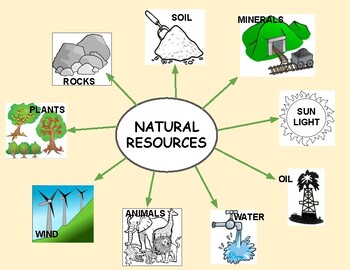 Preview of NATURAL RESOURCES - BUBBLE MAP AND SORTING ACTIVITY