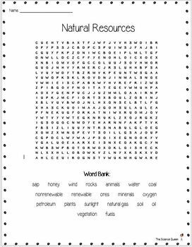 Natural Resources Word Search *FREEBIE* by Fun with Foxy | TpT
