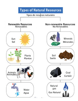 Preview of Natural Resources Word Wall Poster English AND Spanish