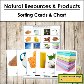 Preview of Natural Resources and Their Products - Matching Cards & Control Chart