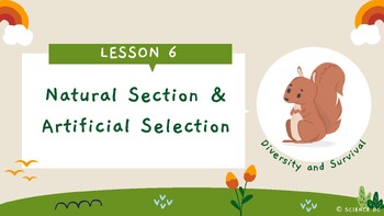 Preview of Natural Section & Artificial Selection