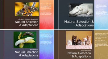 Preview of Unit Bundle: Natural Selection & Adaptation