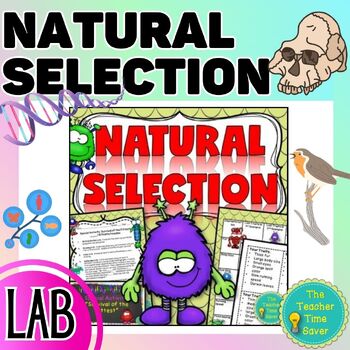 Preview of Natural Selection Lab Worksheet - Adaptations & Evolution Activity