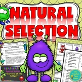 Natural Selection Lab Worksheet - Adaptations & Evolution 