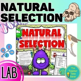 Natural Selection Lab Worksheet - Adaptations & Evolution 