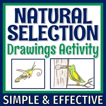 Preview of Natural Selection Activity Worksheet Middle School Evolution NGSS MS-LS4-6
