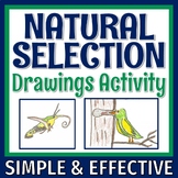 Natural Selection Activity Worksheet Middle School Evoluti